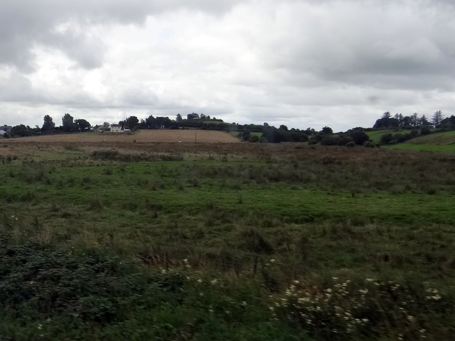 British train countryside
